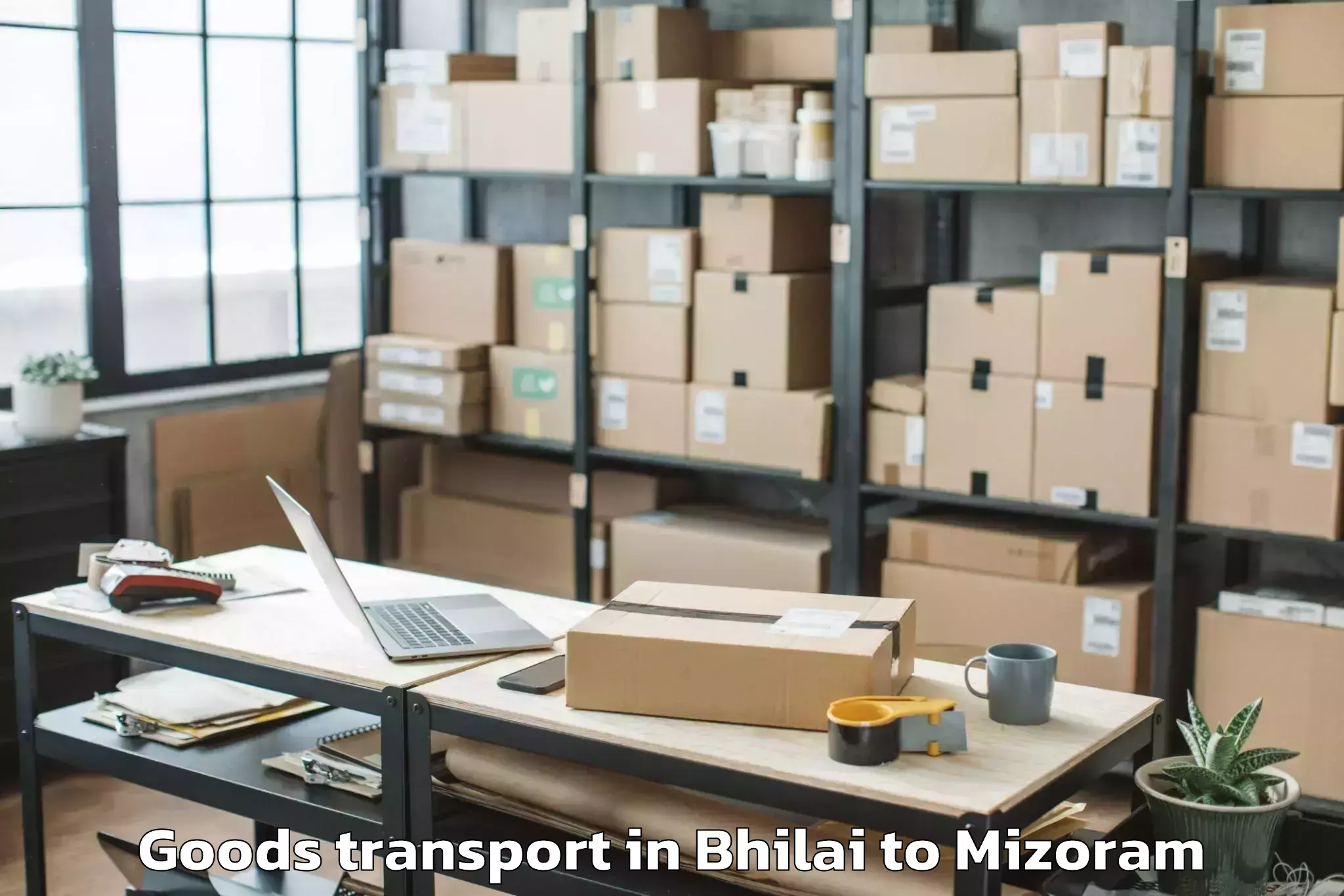 Book Bhilai to East Lungdar Part Goods Transport Online